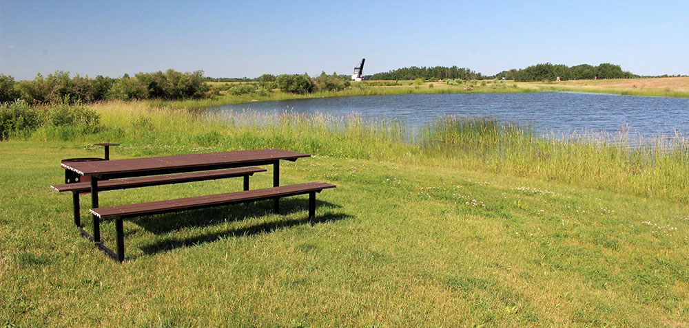 Park bench on grass with water body in background