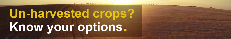 unharvested crops microsite copy